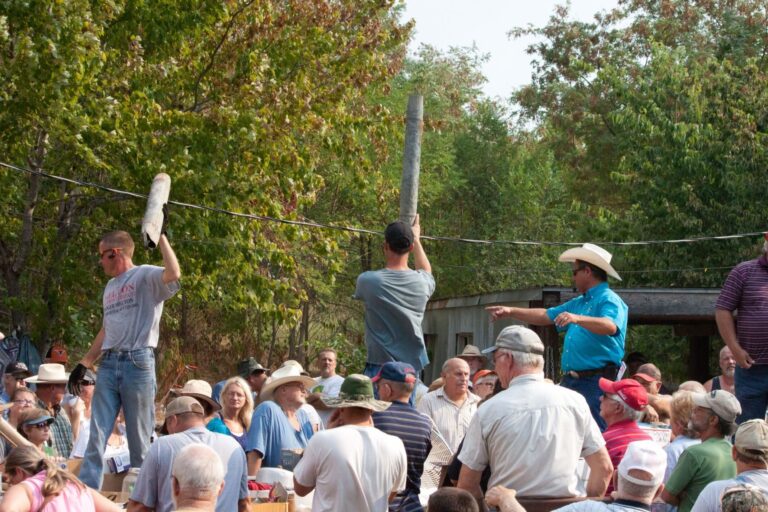 Melton Auction & Realty Expert Auctions and Real Estate